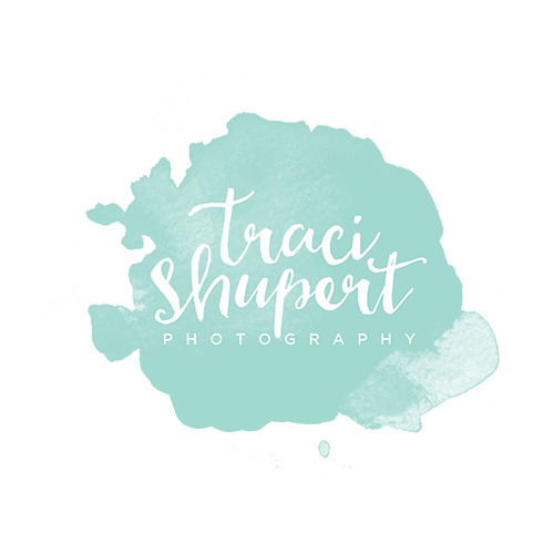 Traci Shupert Photography LLC :: Goshen, Elkhart, Mishawaka, South Bend, Michiana Newborn & Child Photographer logo